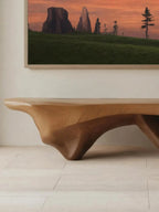 Modern Sculptural Bench With Flowing Design For Living Room - view 3 of 7
