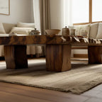 Live Edge Solid Wood Tea Table Low Floor Coffee Table - view 4 of 5